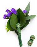 Magnetic boutonniere- don't have to use pins!